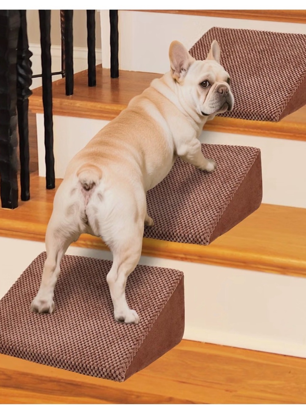 40D Dog Ramp for Stairs for Small & Senior Dogs and Cats